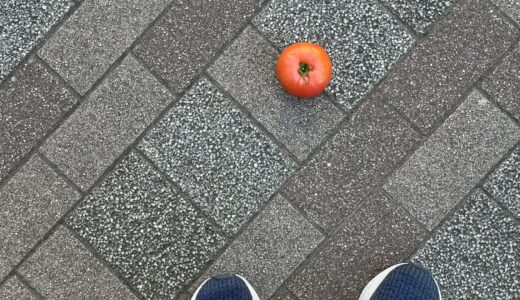 道ばたに落ちた誰かのトマト