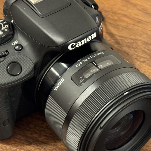 APS-Cを使うカメラ初心者が撒き餌レンズから乗り換え。SIGMA シグマ Canon EF-Sマウント レンズ 30mm F1.4 DC HSM 単焦点 標準 APS-C 